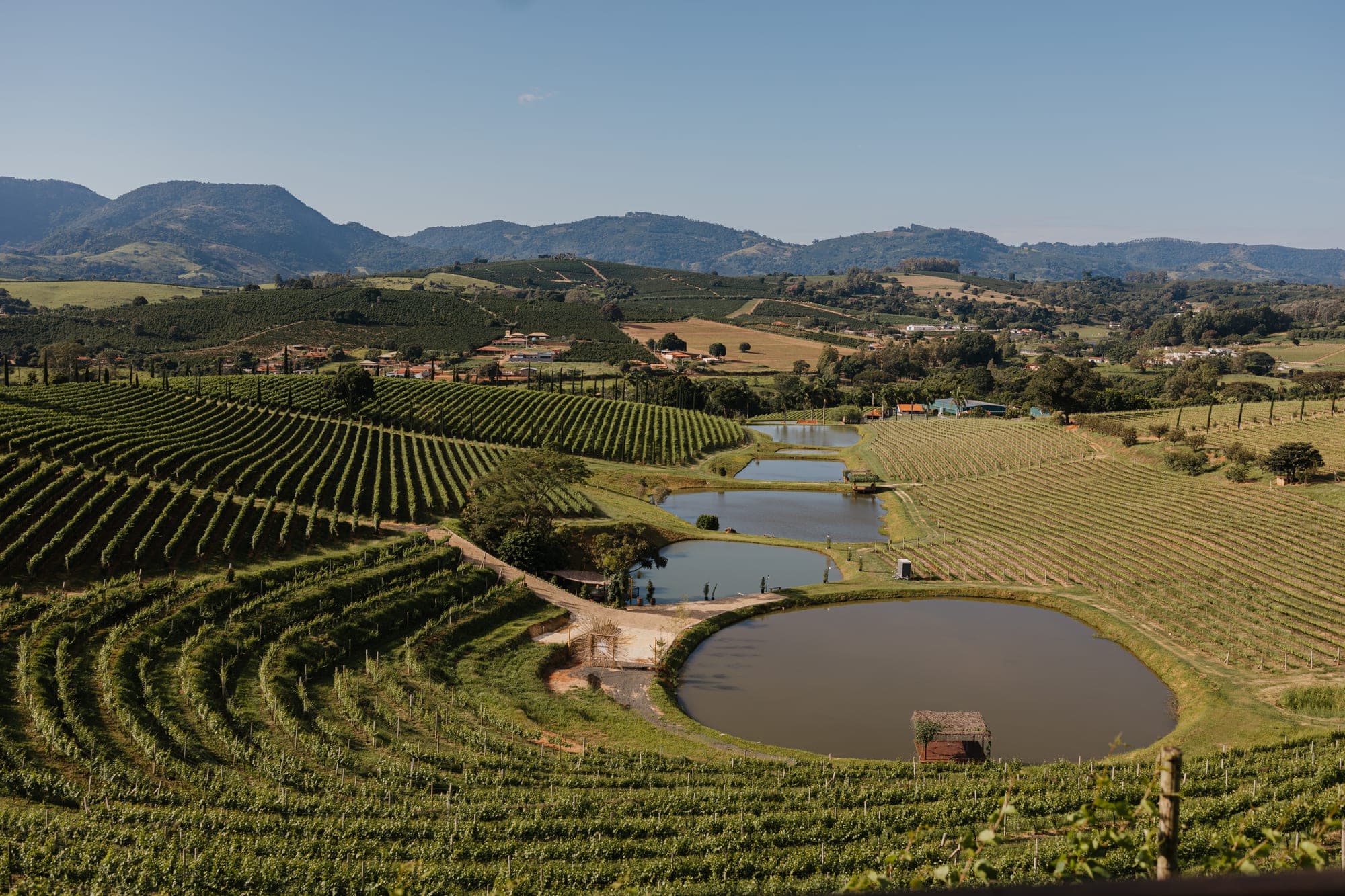 Vista aberta do vale com vinhedos e um lago ao centro